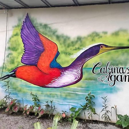 Cabinas Agamy Tortuguero Eksteriør bilde