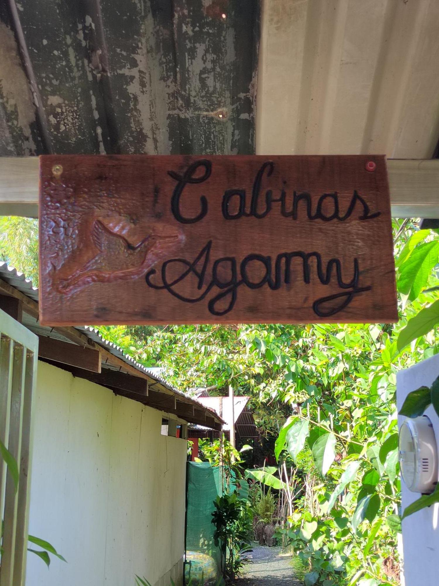 Cabinas Agamy Tortuguero Eksteriør bilde